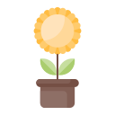 Sunflower icon