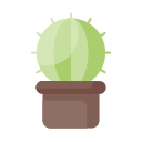 Cactus icon