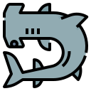 hammerhead icon