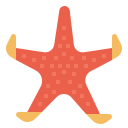 Étoile de mer icon