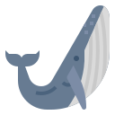 baleine icon