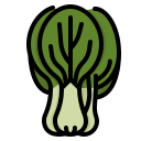 bok choy icon