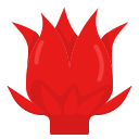 hibisco icon