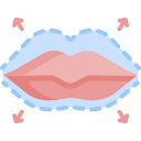 labios icon