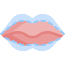 labios icon