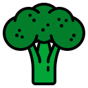 brócoli icon