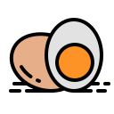 huevos orgánicos icon