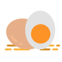 huevos orgánicos icon