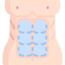 abdominales icon