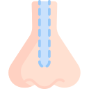 rinoplastia icon