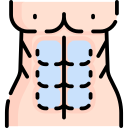 abdominales