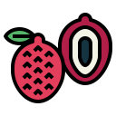 lychee icon