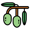 aceituna icon