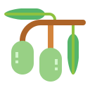 aceituna icon