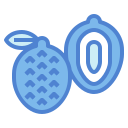 lychee icon