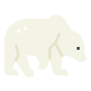 oso polar 