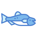 salmón icon