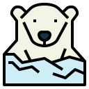 oso polar