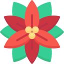 poinsettia 