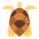 tortuga icon