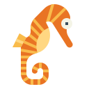 Seahorse 
