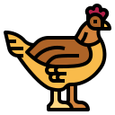 pollo icon