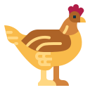 pollo icon