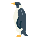 pingüino