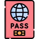 pasaporte icon