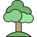 Árbol