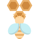 abeja icon