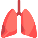 pulmones