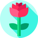 rosa icon