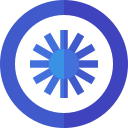 chakra ashoka icon