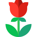 rosa icon