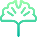 ginkgo biloba icon