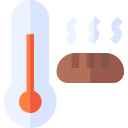 temperatura icon