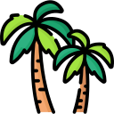 palmera icon