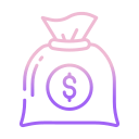 bolsa de dinero icon