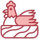 pollo icon