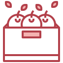 caja de frutas icon