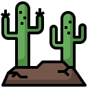 cactus icon