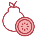 guayaba icon