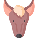 xoloitzcuintle icon