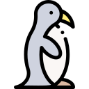 pingüino 