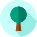 Árbol icon