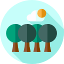 bosque icon