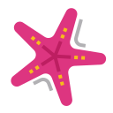 estrella de mar icon