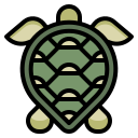 tortuga icon