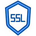 ssl icon